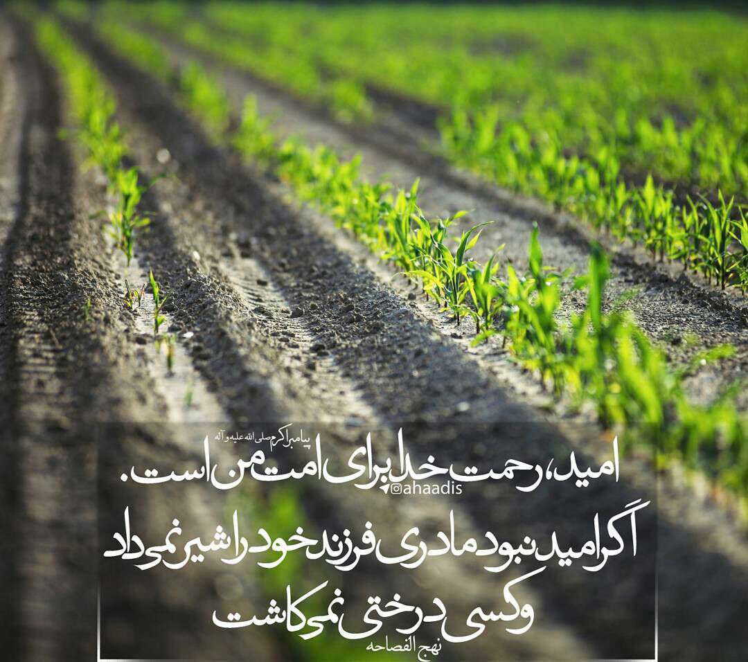 حدیثی از پیامبر اکرم در مورد امید به خدا